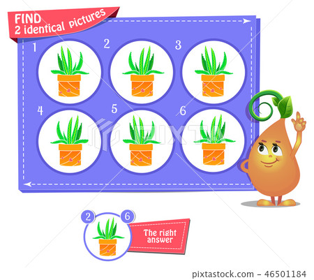 fnd 2 identical flower 46501184