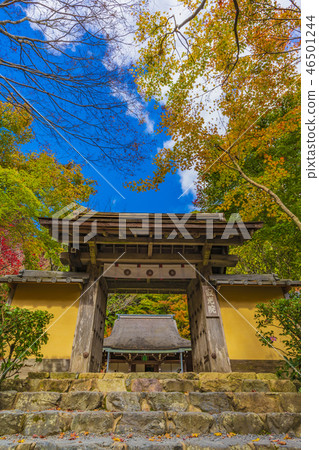 京都Shogakuin Yamamon寺 46501244
