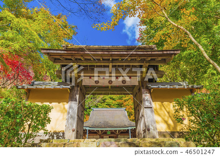 Kyoto Shogakuin Yamamon Temple 46501247
