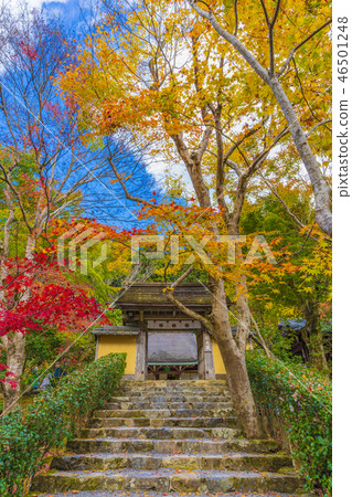 Kyoto Shogakuin Yamamon Temple 46501248