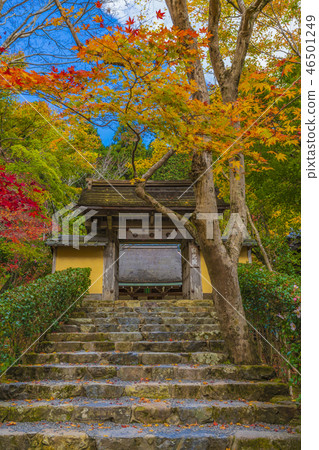 Kyoto Shogakuin Yamamon Temple 46501249
