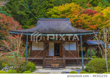 Kyoto Fall Gourd Hall Main Hall 46501250