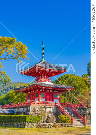 京都秋天Dakakuji寺心臟寶塔 46501267