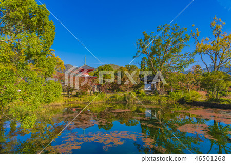 京都秋天Dakakuji寺心臟寶塔 京都秋天Dakakuji寺心臟寶塔 46501268