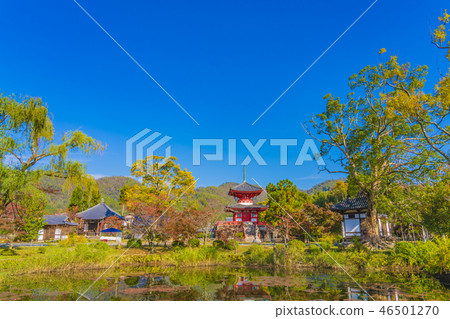 Kyoto Fall Dakakuji Temple Heart Treasure Tower 46501270