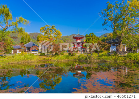 Kyoto Fall Dakakuji Temple Heart Treasure Tower Kyoto Fall Dakakuji Temple Heart Treasure Tower 46501271