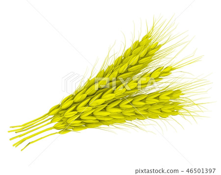 Wheat ears spikelets with grains. 3d render 46501397