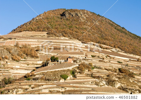 Hillside Vineyards Hillside Vineyards 46501882