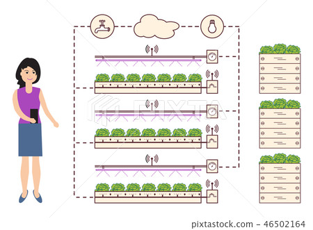 Woman controls the smart farm and agriculture 46502164