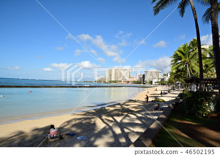 Waikiki beach scenery 46502195