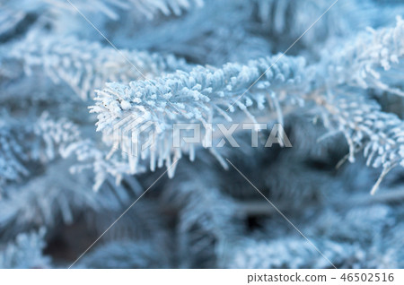 white branch of snowy christmas tree in the street white branch of snowy christmas tree in the street 46502516