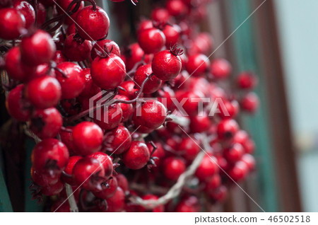 mini decoratives red apples in christmas tree 46502518
