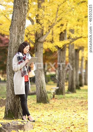 Middle lady enjoying autumn leaves Middle lady enjoying autumn leaves 46503285