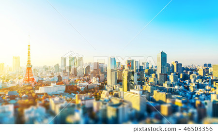 tokyo skyline aerial view with tilt shift effect 46503356
