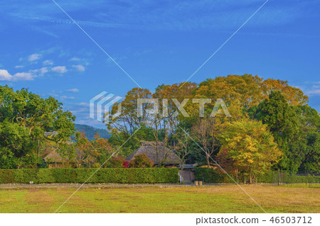 Kyoto Arashiyama Fall Market 46503712