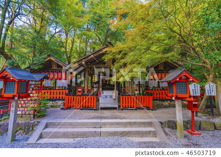 京都嵐山野宮神社大廳 46503719