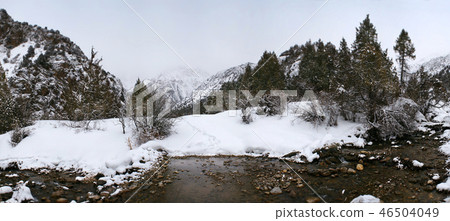 Panorama of mountain scenery in winter in a storm 46504049