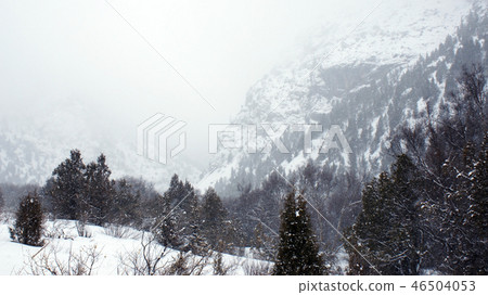 Mountain landscape in winter in a storm Mountain landscape in winter in a storm 46504053