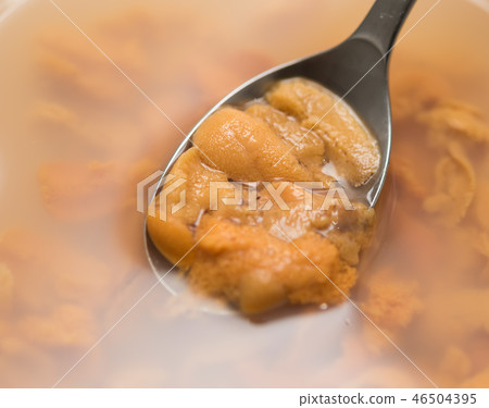 sea urchin, Marine Product, seafood 46504395