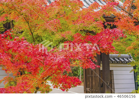 Kyoto Shogunzuka Seirenin Mon ruins Kyoto Shogunzuka Seirenin Mon ruins 46506156