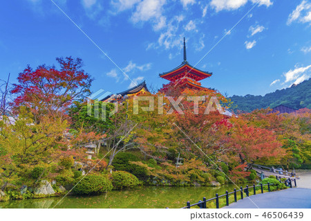 清水寺三重塔，京都秋天 46506439