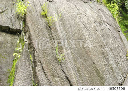 群馬Shinryu-cho Serin的傷痕恐龍腳印 46507506