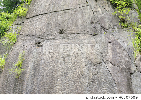 Gunma Shinryu-cho Serin's scars Dinosaur footprints 46507509