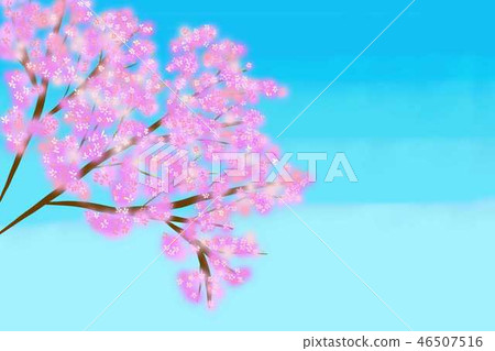 在藍天的櫻花 46507516
