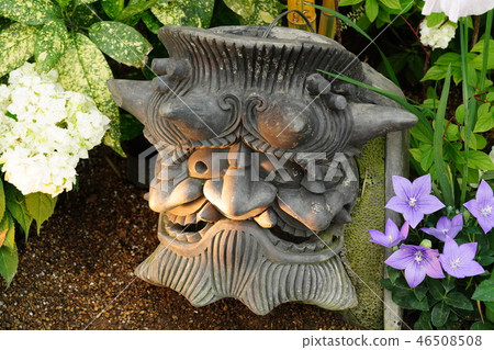 Botanical museum of the star of miracle Botanical museum of the star of miracle 46508508