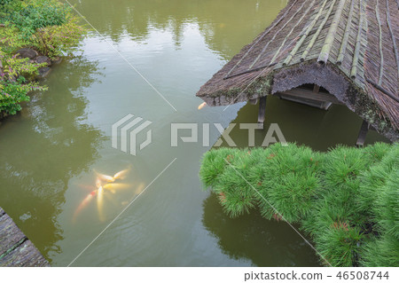 Korakuen waterfront scenery Korakuen waterfront scenery 46508744
