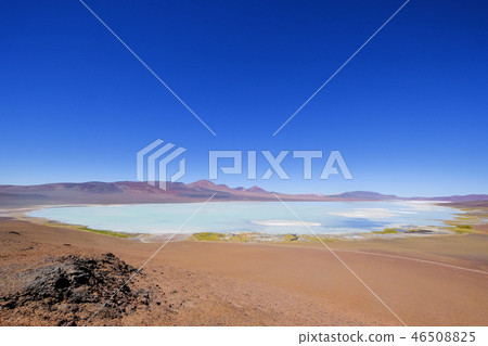 Beautiful green and blue lagoon Laguna Brava, a salt lake in the Argentine Andes, near Paso Pircas 46508825
