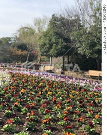 Preview of spring Preview of spring 46508840