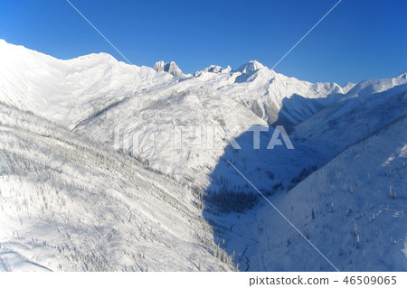 Winter landscape with mountains and trees in The Bugaboos, Purcell Mountains, Bugaboo Provincial 46509065