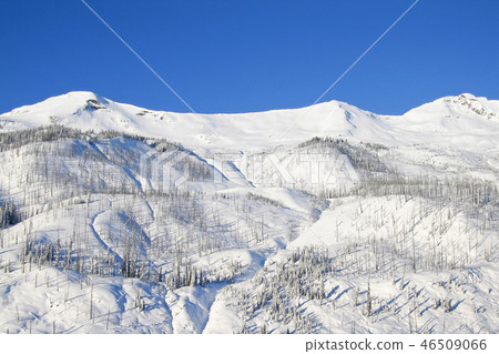 Winter landscape with mountains and trees in The Bugaboos, Purcell Mountains, Bugaboo Provincial Winter landscape with mountains and trees in The Bugaboos, Purcell Mountains, Bugaboo Provincial 46509066