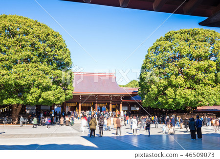 明治神宮主殿 46509073