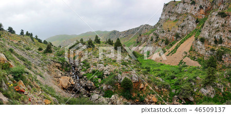 Mountain gorge in spring Mountain gorge in spring 46509137