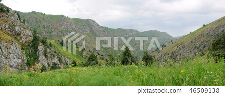 Mountain gorge in spring Mountain gorge in spring 46509138