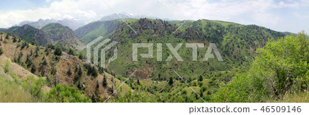 Mountain gorge in spring 46509146