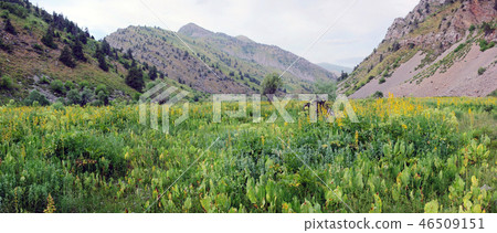 Mountain gorge in spring Mountain gorge in spring 46509151