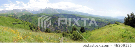 Mountain gorge in spring Mountain gorge in spring 46509155
