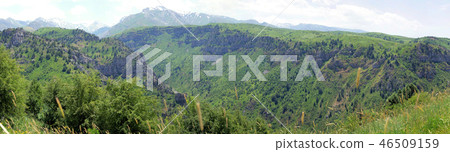 Mountain gorge in spring Mountain gorge in spring 46509159