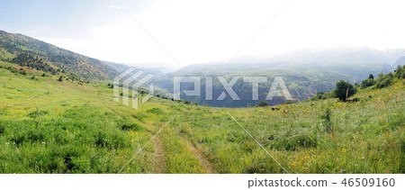 Mountain gorge in spring Mountain gorge in spring 46509160