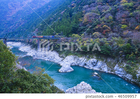 Autumn walk of autumn leaves and sightseeing train Autumn walk of autumn leaves and sightseeing train 46509957
