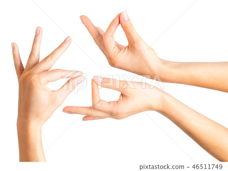 Set of woman hands showing mudra gesture or holding something. 46511749