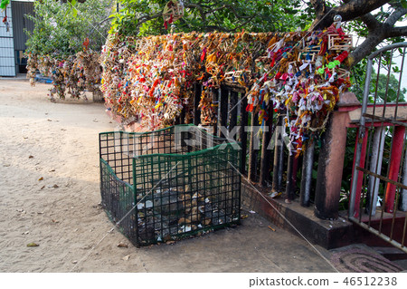Pregnancy offerings at Koneswaram Temple in Trincomalee, Sri Lan Pregnancy offerings at Koneswaram Temple in Trincomalee, Sri Lan 46512238