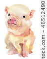 Watercolor sketch of pink pig isolated on white  46512490