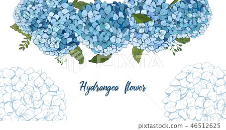 Summer botanical vector design banner. hand drawing . Light blue hydrangea. Natural card or frame 46512625