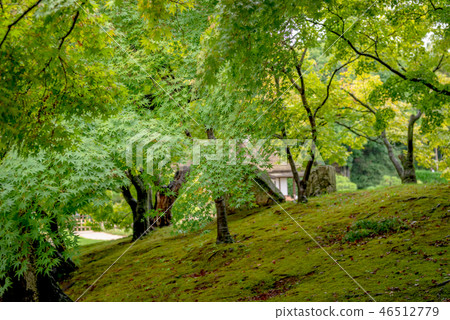 The hillside scenery of Korakuen Yushin 46512779