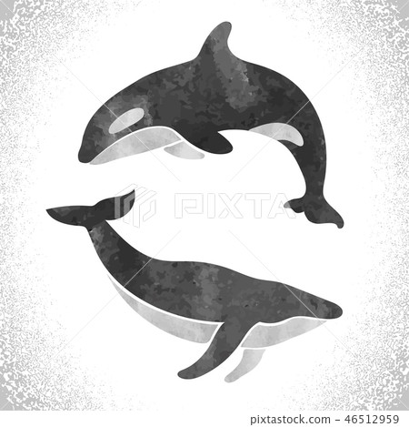 Watercolor Killer Whale And Fin Whale 插圖素材 圖庫