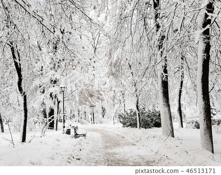 Winter city park 46513171